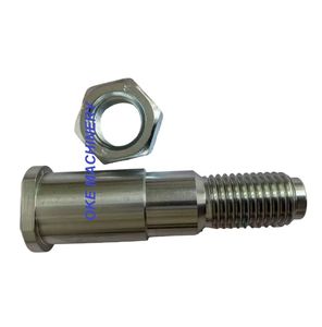 Good Quality Customized High Precision White Galvanized Bolt Washer Spring with Nut Fastener