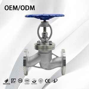Stainless Steel Customized/Factory Price Bolted Bonnet S-Type Stop Valve for Water Pipes