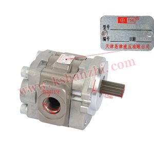 Wholesale Heli Forklift Spare Parts Sgp2-32A9h1-L365D Hydraulic Pump for 5-7 Ton