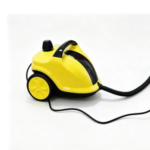 Hot Sale Household Professional High Pressure High Power Steam Cleaner
