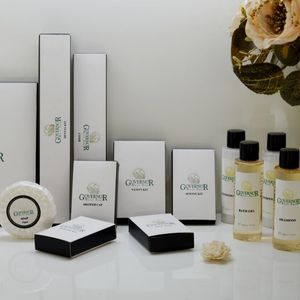 Wholesale High Quality Hotel Amenties Bathroom Amenties for Sale (JRD755)