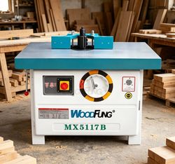 Woodworking Wood Single Spindle Shaper Mx5117b Wood Moulder Milling Shaper Shaping Machine for Solid Wood Furniture