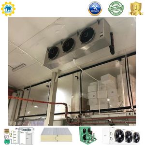 Customizable Cold Room with 100mm Panels and Copeland Compressor