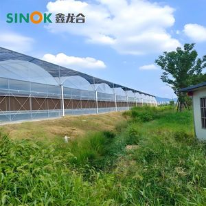 Agricultural/Commercial Multi-Span Plastic Film Greenhouse with Hydroponic for Planting