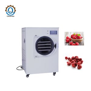 New Arrival Dehydrator Household Vacuum Freeze Dryer Machine Multifunctional Lyophilizer for Vegetables Fruit Meat and Pet Food
