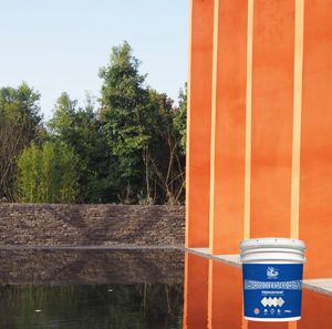 Multi-Color Coating Polymer Waterproof Exterior Paint