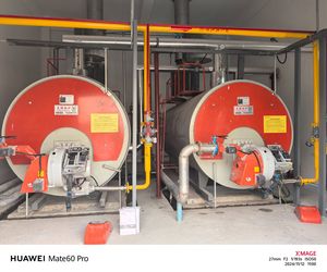 LPG Fired Steam Boiler Gas Fired High Pressure 200 Bhp Steam Boiler