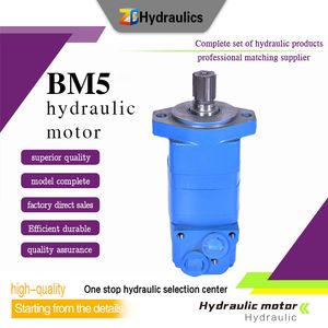 Excellent Quality Hydraulic Motor Bm5 Factory Wholesale Best Price