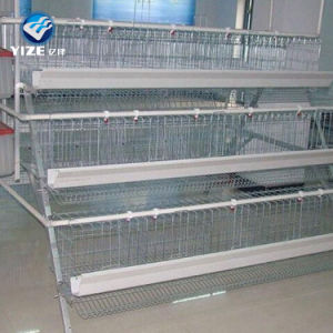 Hot-Selling Good Quality Poultry Equipment for Chicken