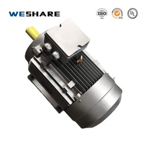 Industrial AC Electric Motor with High Efficiency for Pumping Systems
