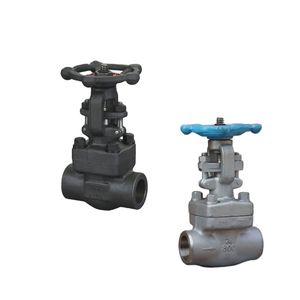 Forged Steel Threaded End 800lb 1500lb Gate Valve