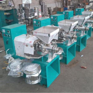 High Quality Screw Type Palm Kernel Oil Press Machine with Best Price
