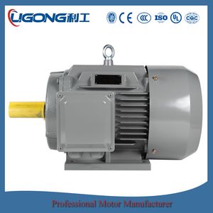 Yd-225s-6/4 22kw 28kw Change-Pole Dual-Speed Three-Phase Induction Motor for Weaving Machinery
