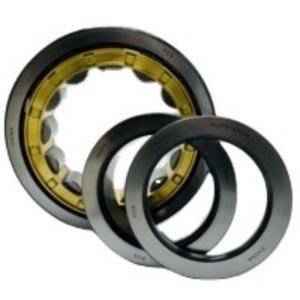 42205 Nj205 Cylindrical Roller Bearing Factory Wholesale Good Price