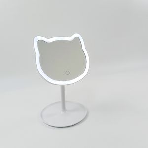 Durable Home Mirror Light with Energy Efficient LEDs
