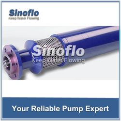 Electric Submersible Pump (ESP)