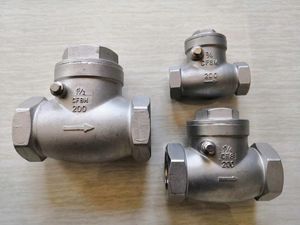 1/2''-3'' Stainless Steel Swing Check Valve for Gas