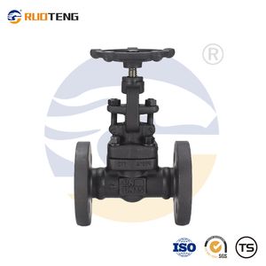 [Ruoteng] Chinese Factory Price Customized A105 Forged Steel Globe Valve