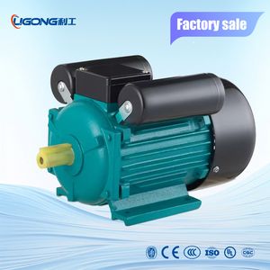 Yl Series Single Phase Capacitor Start Capacitor Run Induction Electric Motor 220V 50Hz