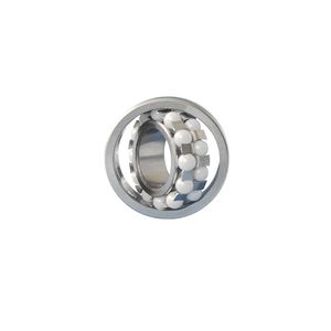 Durable Ceramic Ball Bearings with SS316 Corrosion-Resistant Coating