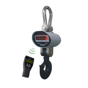 Wireless Heavy Industral Hook Scale Factory Double Display Weighing Crane Scales