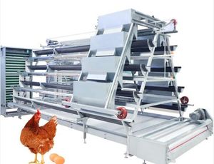 Egg Layer Chicken Farming Automatic Poultry Breeding Equipment