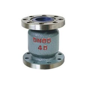 High-Performance Non Return Cast Steel Industrial Flanged Vertical Check Valve for Water