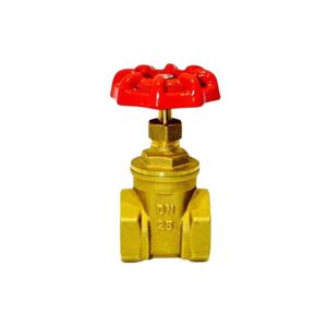 Premium Heavy-Duty Brass Gate Valve for Superior Water Control