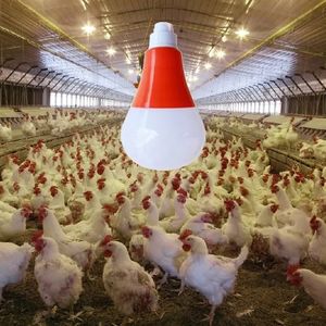 IP65 48V DC AC Chicken Farm Bulb Dimmable Flicker Free Waterproof LED Poultry Bulb E27 B22 LED Bulb Light for Outdoor Lighting 3W 6W 12W