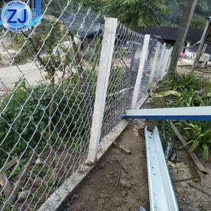 PVC/Vinyl Coated Chain Link Fence/Galvanized Diamond Mesh