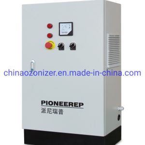 All in One 5-10g Ozonizer for Water Treatment, Disinfection and Sterilization
