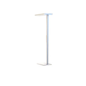 Modern Standing Standard Lamp LED Floor Light Lighting for Living Room Bedroom Changing Atmosphere Light
