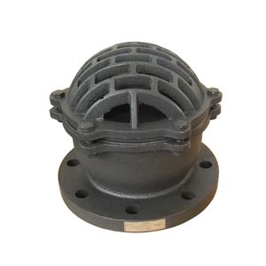 Flange End H42X Ductile Iron Foot Valve for Water Pump H42X