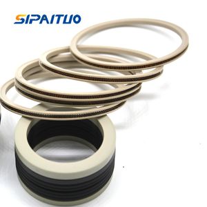 PTFE Spring Energized Valve Seat Lip Seals