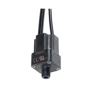Industrial-Grade IP65 Differential Pressure Switch for 4bar Systems