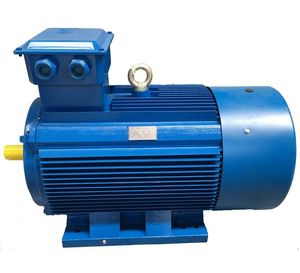 High Quality 4-Pole Three-Phase AC Induction Motor for Water Pumps 50Hz Frequency