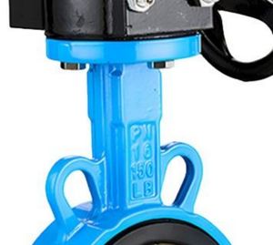 DN50-DN300 Custom Soft Seal Manual Worm Gear Butterfly Valve