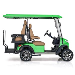 Quick Charge Compact Size Electric Golf Cart with Adjustable Back Seats