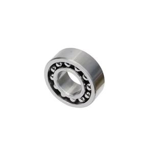 Durable Double Row High-Precision Long-Life Stainless Steel Self-Aligning Ball Bearing 1213