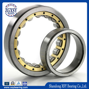 One Two Four Rows Cylindrical Roller Bearings (NU, NJ, NF, NP, NUP and N)