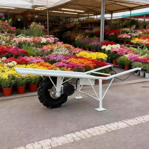 High Capacity Electric Trolley for Efficient Transport Solutions