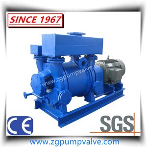 Liquid Water Ring Vacuum Pump & Compressor for Chemical Paper Making Industry
