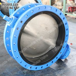 Loose Liner Rubber Seat CS Wcb Double Flange Butterfly Valve FF/RF Flange with Replaceable Seat Awwa Standard