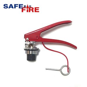 Indian Powder ABC Extinguisher Valve Factory 155g Brass