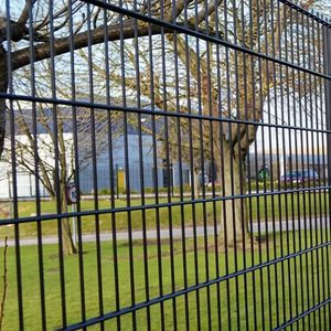 Double Wire Fence
