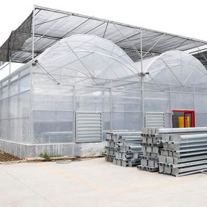 Multi-Span Hydroponic Tunnel Film Greenhouse