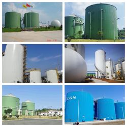 Anaerobic Reactor Biodigester Fermentation Tank for Alcohol Waste Water Sewage Treatment