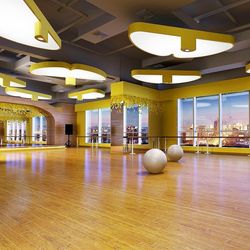 Wholesale Non-Slip Commercial PVC Vinly Plastic Flooring Rolls for Dance Room