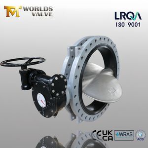 Stainless Steel CF8 CF8m Double Flange U Section Butterfly Valve with CE ISO