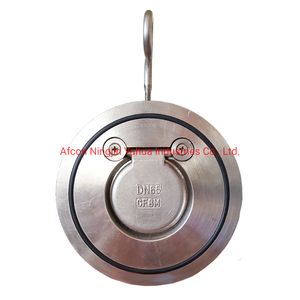 Swing Check Valve ANSI Standard